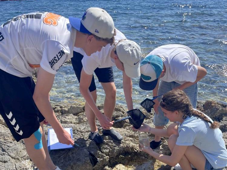 Vor dem Vorhang #1: Marinbiologiewoche